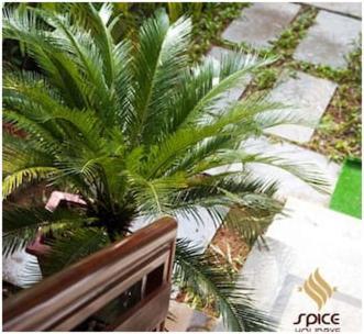 Spice Holidays Hotel Kochi Екстериор снимка